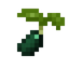 Candleberry Seed