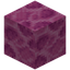 Brain Coral Block