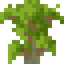 Eucalyptus Shrub