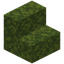 Moss Stairs