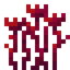 Flowered Crimson Roots