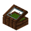 Lime Zelkova Display Case