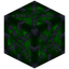 Green Xychorium Gem Storage 7x