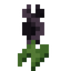 Mystical Black Flower
