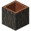 Hollow Acacia Log