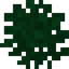 Bush