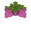 Spore Blossom