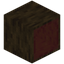 Hollow Mangrove Log