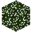 Cedar Leaves