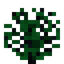 Hazel Sapling