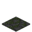 Mossy Stone Flagstone Path