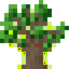 Robust Twilight Oak Sapling