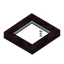 Cherry Bark Trapdoor