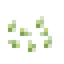 Green Pepper Seeds