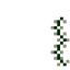 Mini Lights (Vertical Right)