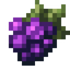 Red Savanna Grapes