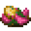 Plate of Lily Chicken