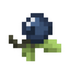 Blue Berry