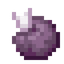 Chorus Fruit
