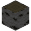 Reinforced Birch Log