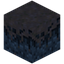 Mycelium