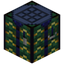 Witch Hazel Crafting Table