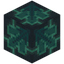 Aquamarine Glazed Terracotta