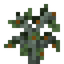 Lime Sapling