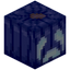 Blue Jack o'Lantern