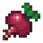 Radish