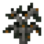 Kumquat Sapling