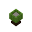 Lime Lamp