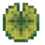 Rough Lily Pad