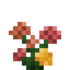 Dahlia