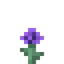 Purple Flower