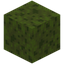 Spongy Moss Block