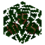 Peach Leaves