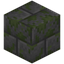 Mossy Stone Bricks