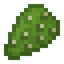 Cactus Chunk