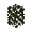 Birch Hedge