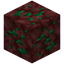 Nether Fluorite Ore