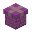 Magenta Present