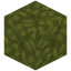 Lush Sponge
