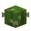 Tiny Cactus