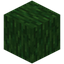 Green Enchanted Wood
