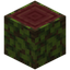Overgrown Mangrove Log