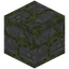 Blank Mossy Stone Bricks Carving