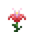 Pink Daffodil