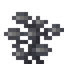 Slate Coral