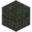 Cracked Mossy Stone Bricks Bricks